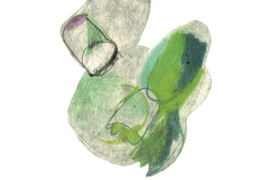 ilustracija Špela T. Jovanović